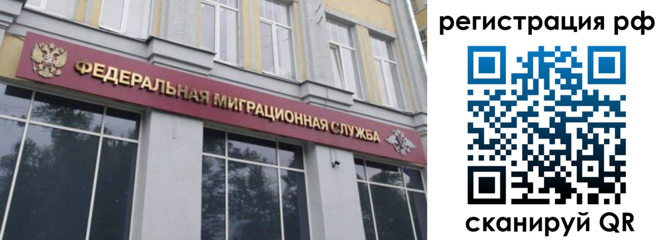 временная регистрация 2025 в Светлогорске