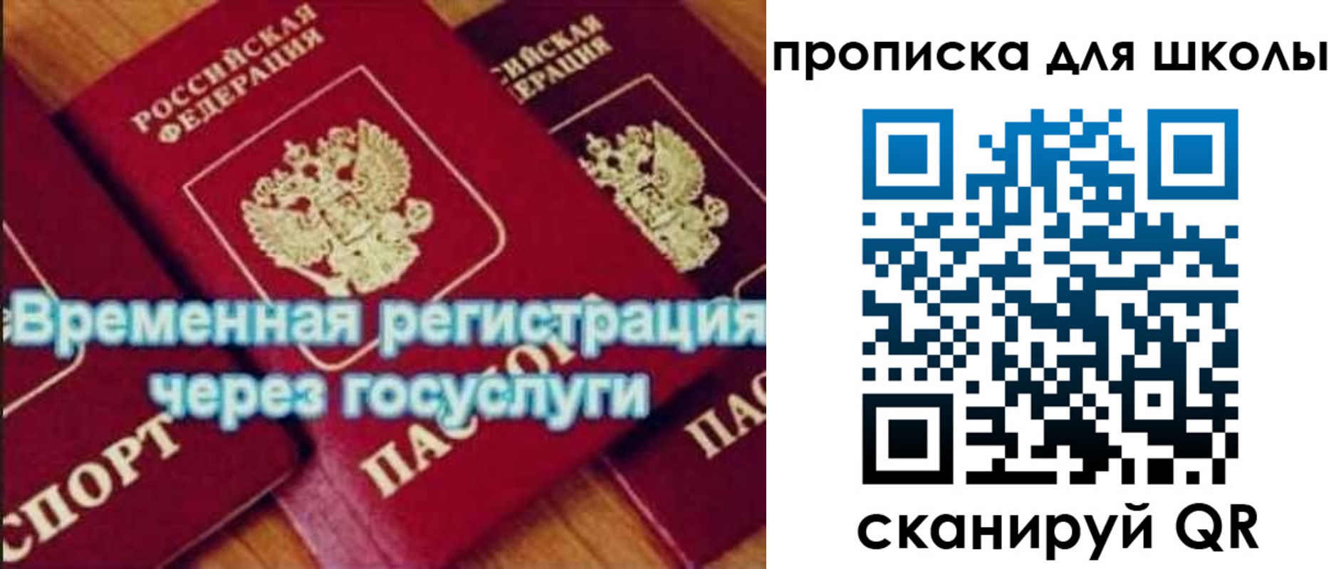 регистрация для дет. сада в Светлогорске