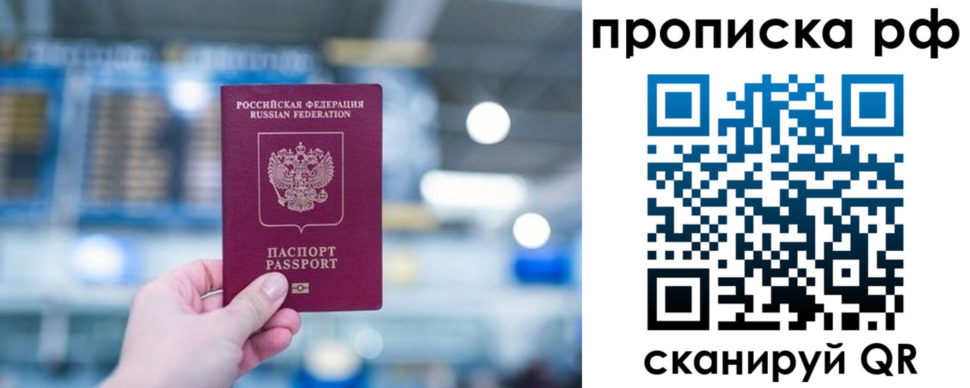 где прописаться в Светлогорске