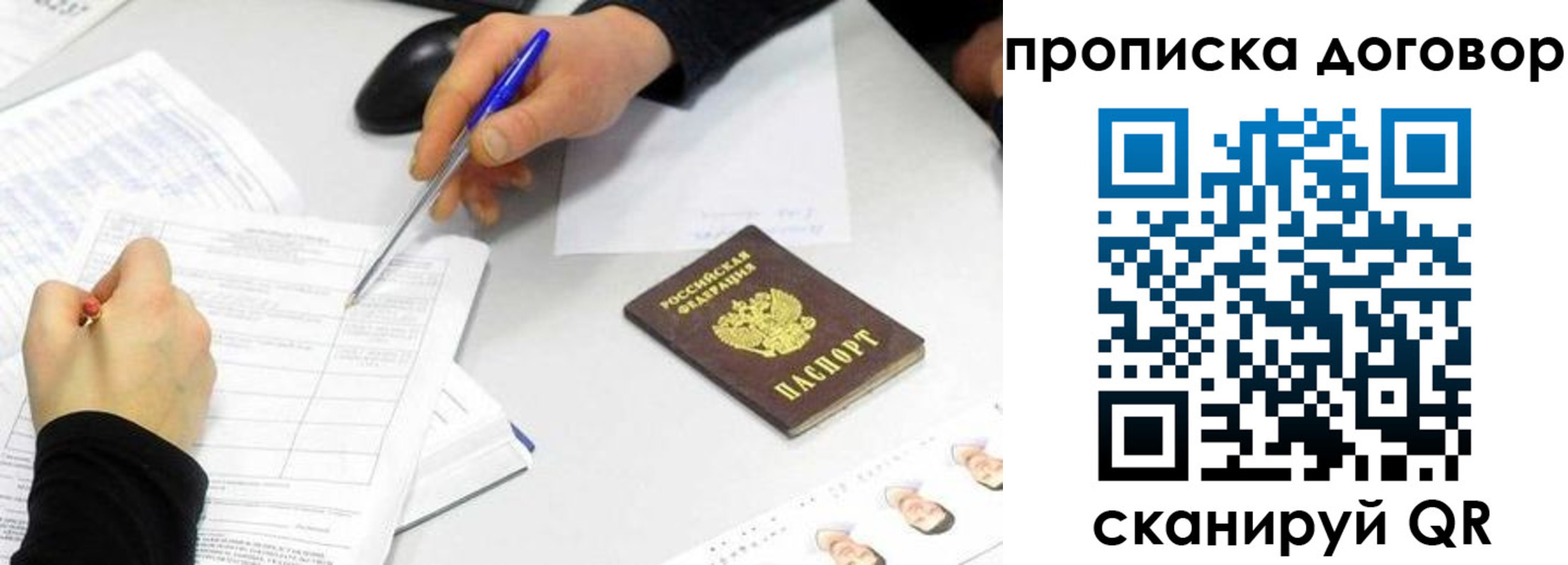 прописка для работы в Светлогорске
